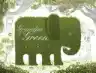 Cover of Grandpa Green