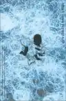 Cover of Greybeard