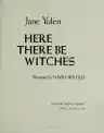 Cover of Here There Be Witches