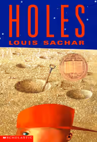 Cover of Holes