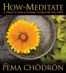 Cover of How to Meditate: A Practical Guide to Making Friends with Your Mind
