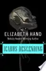 Cover of Icarus Descending