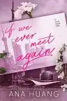 Cover of If We Ever Meet Again