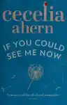 Cover of If You Could See Me Now
