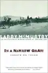 Cover of In a Narrow Grave: Essays on Texas