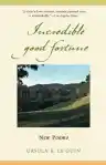Cover of Incredible Good Fortune