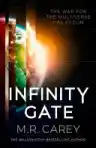 Cover of Infinity Gate