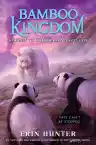 Cover of Journey to the Dragon Mountain