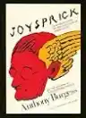 Cover of Joysprick: An Introduction to the Language of James Joyce