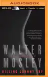 Cover of Killing Johnny Fry: A Sexistential Novel
