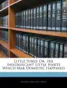 Cover of Little Foxes; or, The Insignificant Little Habits Which Mar Domestic Happiness