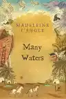 Cover of Many Waters