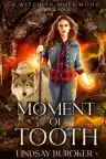 Cover of Moment of Tooth