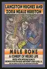 Cover of Mule Bone: A Comedy of Negro Life