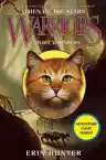 Cover of Night Whispers