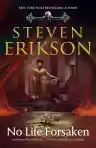 Cover of No Life Forsaken