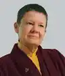 Cover of No Time to Lose: A Timely Guide to the Way of the Bodhisattva