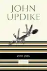 Cover of Odd Jobs: Essays and Criticism