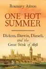 Cover of One Hot Summer: Dickens, Darwin, Disraeli, and the Great Stink of 1858