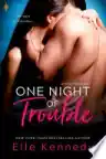 Cover of One Night of Trouble
