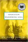 Cover of Operation Wandering Soul