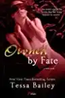 Cover of Owned by Fate