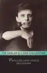 Cover of Paingod and Other Delusions