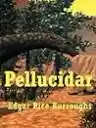 Cover of Pellucidar