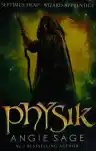 Cover of Physik