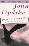 Cover of Pigeon Feathers and Other Stories