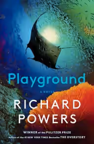 Cover of Playground