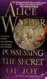 Cover of Possessing the Secret of Joy