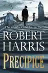 Cover of Precipice
