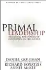 Cover of Primal Leadership: Unleashing the Power of Emotional Intelligence