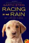 Cover of Racing in the Rain: My Life as a Dog