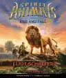 Cover of Rise and Fall