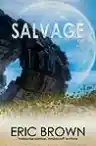 Cover of Salvage