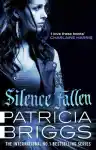 Cover of Silence Fallen