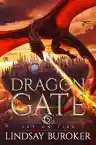 Cover of Sky on Fire