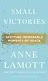 Cover of Small Victories: Spotting Improbable Moments of Grace