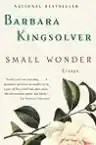 Cover of Small Wonder