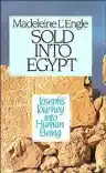 Cover of Sold into Egypt: Joseph's Journey into Human Being
