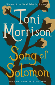 Cover of Song of Solomon