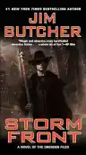 Cover of Storm Front