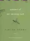 Cover of Summer of My Amazing Luck
