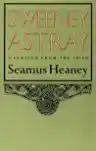 Cover of Sweeney Astray: A Version from the Irish