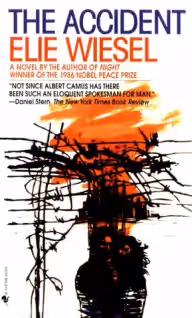 Cover of The Accident