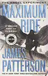 Cover of The Angel Experiment