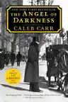 Cover of The Angel of Darkness