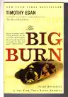 Cover of The Big Burn: Teddy Roosevelt and the Fire That Saved America